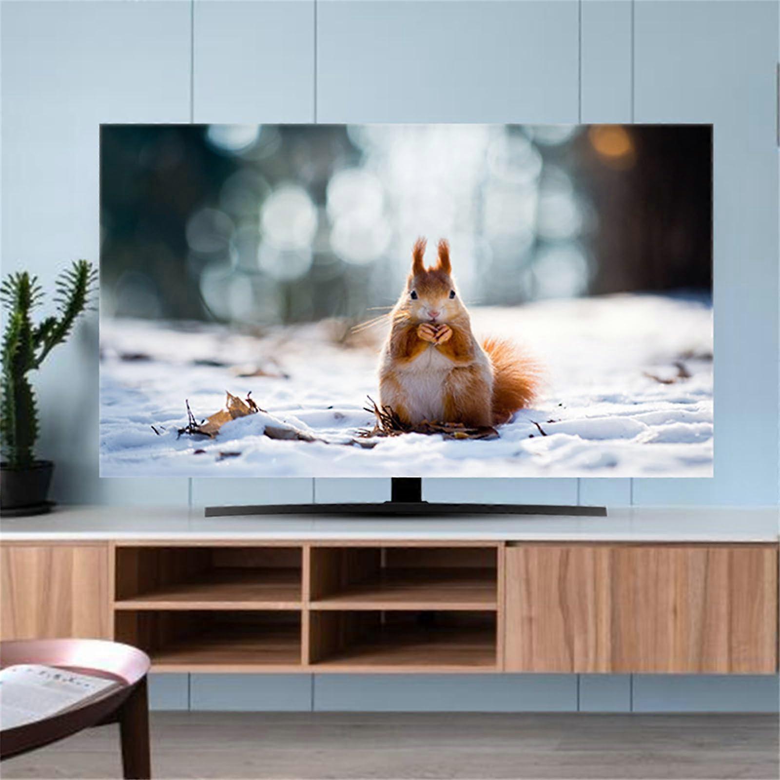 TV Dust Cover 3739 Inch, Elastic Full Screen Protector for Flat or Curved TVs, Decorative Squirrel Pattern