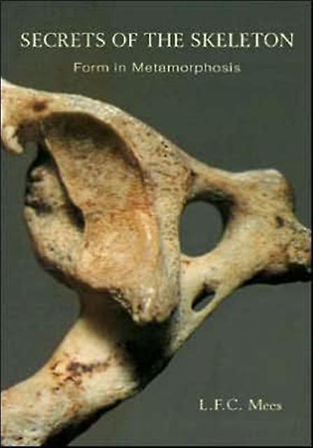 Secrets Of The Skeleton by L. F. C. Mees Paperback Book