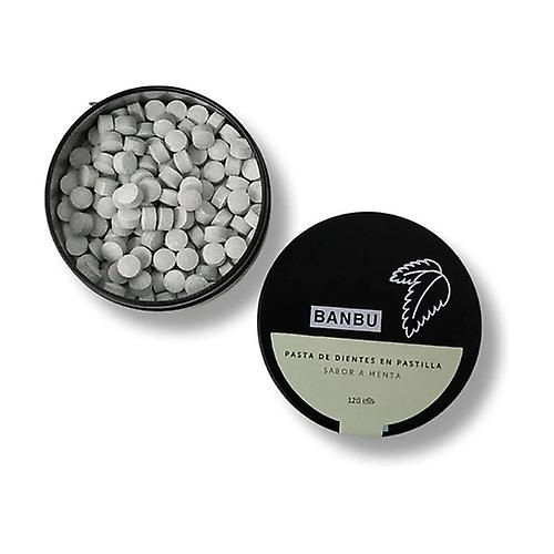 Winter toothpaste in tablets 120 pellets (Mint)