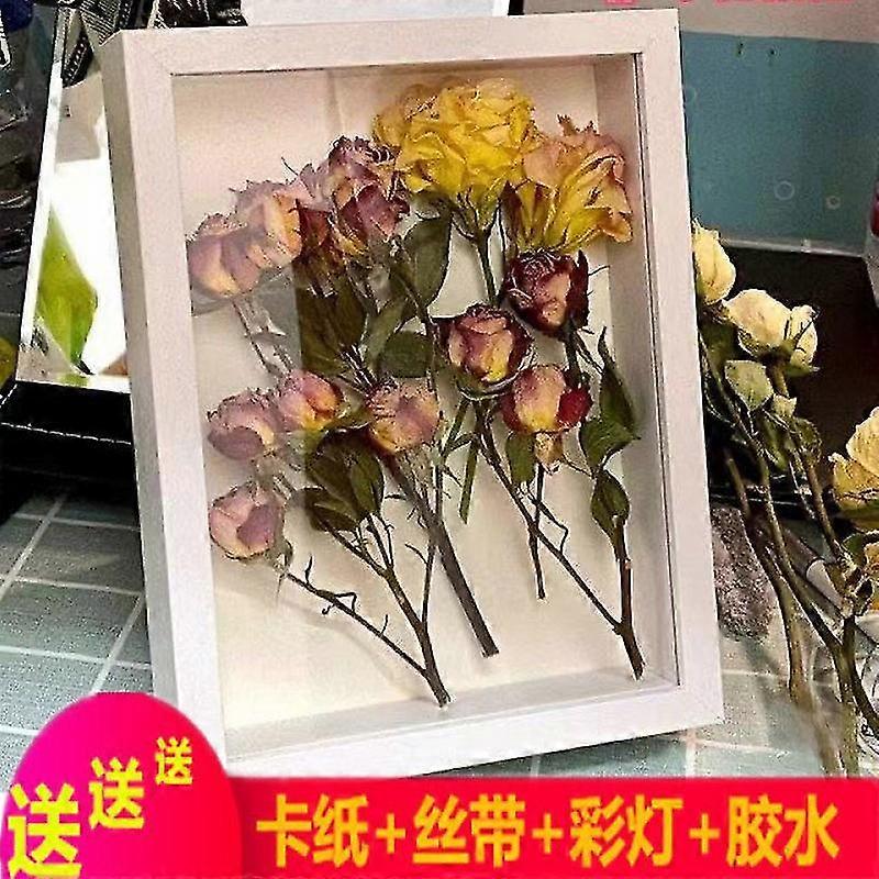 Dry Flower Shadow Box Specimen Shadow Case Display Case With Clear Window
