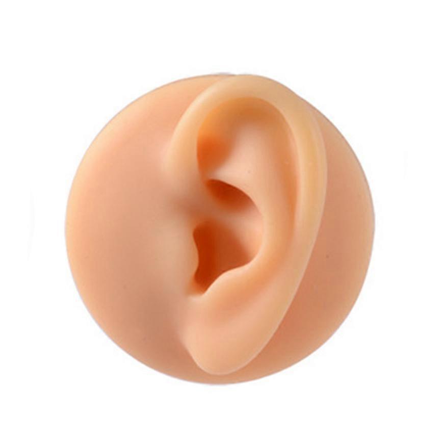 Simulation silicone ear model ear studs puncture training Earring Display