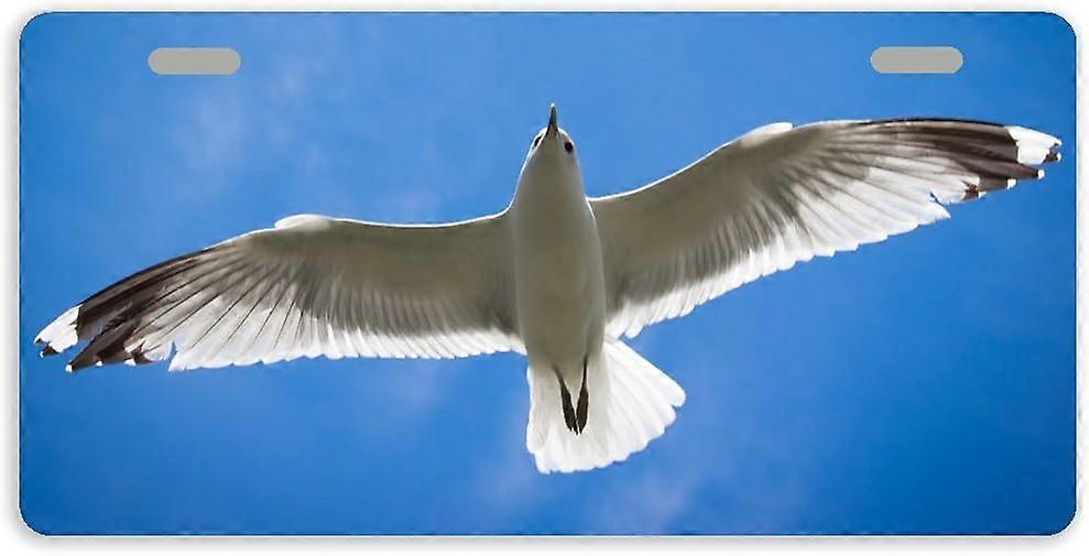 Tampa da placa de licença da etiqueta do carro do metal do pombo auto com 2 furos 11,8 x 6,1 polegadas