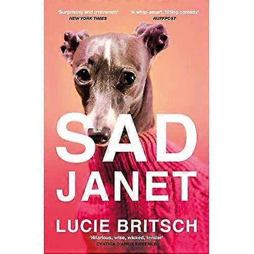 Sad Janet: 'A whip-smart, biting tragicomedy' HuffPost