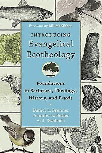 Introducing Evangelical Ecotheology Foundations in Scripture Theology History and Praxis