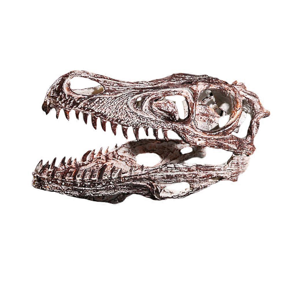 Dinosaur Skull Home Desktop Decorations Multi Color 20X29cm Resin Ornament 1Pcs