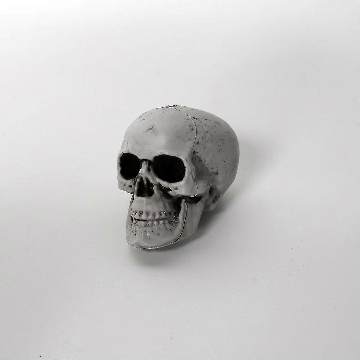 Simulation of human skull model site layout props haunted house decoration horror ornaments adult children skull head