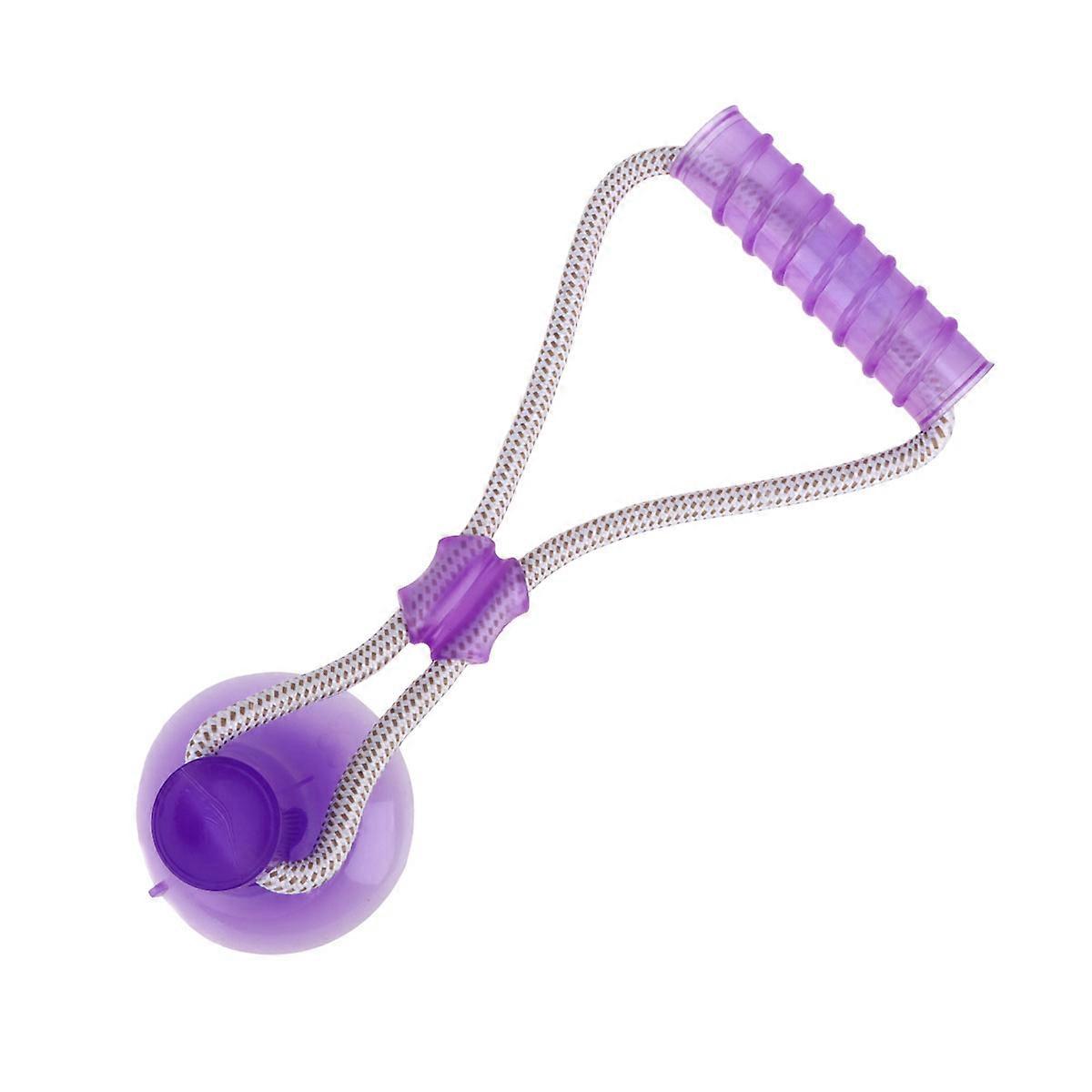 Pet Molar Toy Dog Bite Toy for Chewing Exercise Purple
