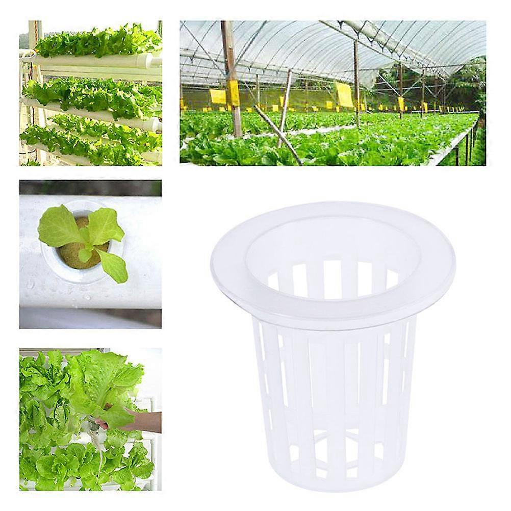 Hydroponic Slotted Mesh Net Pots for Hydroponics Plant Cultivation Transparent Uv Resistant Plastic Promote Aeration 20Pack
