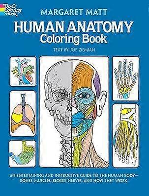 Human Anatomy Colouring Book