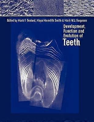 Development Function and Evolution of Teeth
