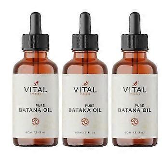 3 pezzi Vital Strands Organic Batana Oil compatibile con la crescita dei capelli, adatto a tutti i tipi di capelli, 60 ml fastQD