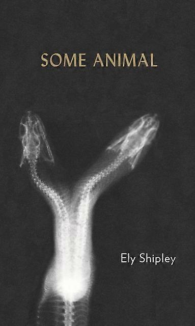Some Animal - Ely Shipley - Paperback - en Book