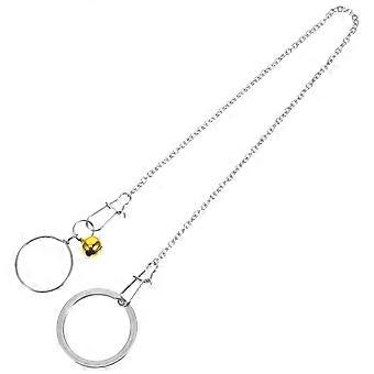 Stainless Steel Bird Chain for Decoration with 1Set Parrot Neck Ring Collar