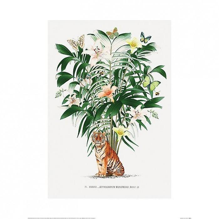Summer Thornton Tiger Poster