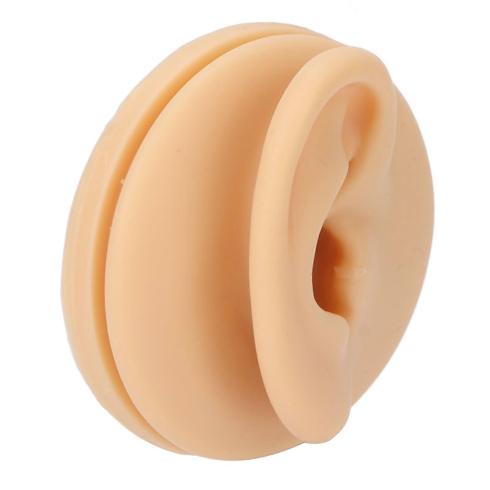 Ear Zone Model Soft Silicone Waterproof Lifelike Clear Structure Human Right Ear Learning Model