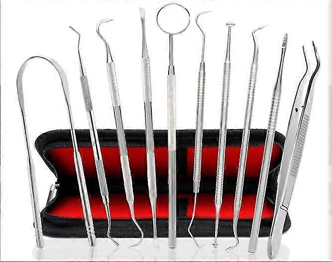 Dental Tools, 10 Pack Professional Plaque Remover Teeth Cleaning Tools Set, Stai