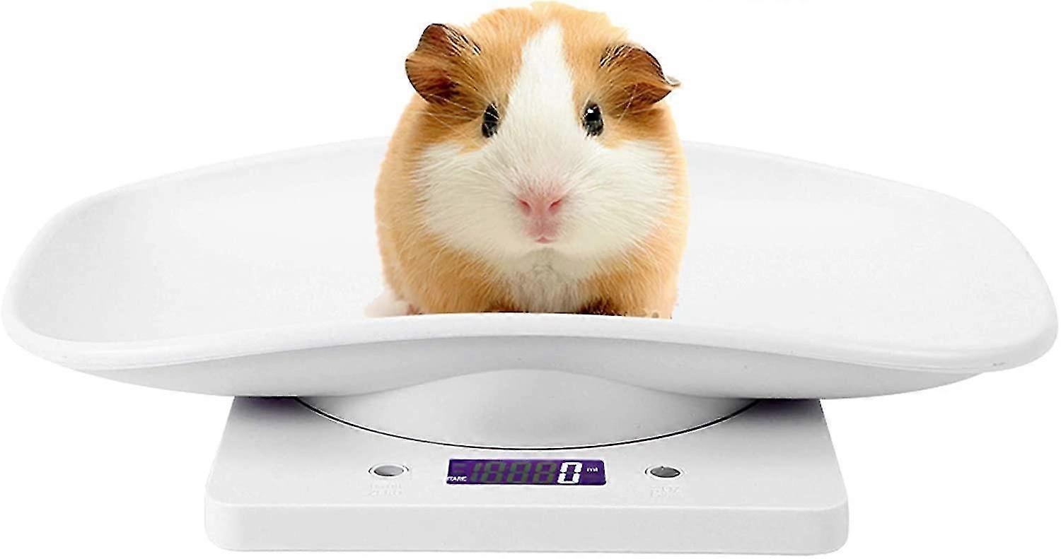 Pet Scale Small Digital Pet Scale Electronic Scale As Cat Dog Parrots Hamster