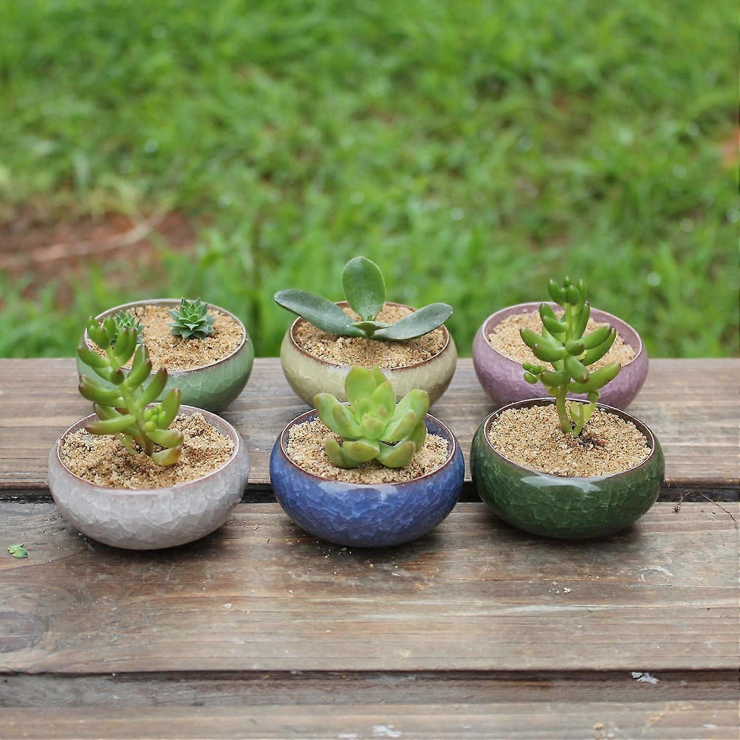 2pcs Walbest Cute Succulents Planters  Unique Small Planter Pot with Drainage  Ceramic Round Flower Planter Mini Flower Pots for Cactus