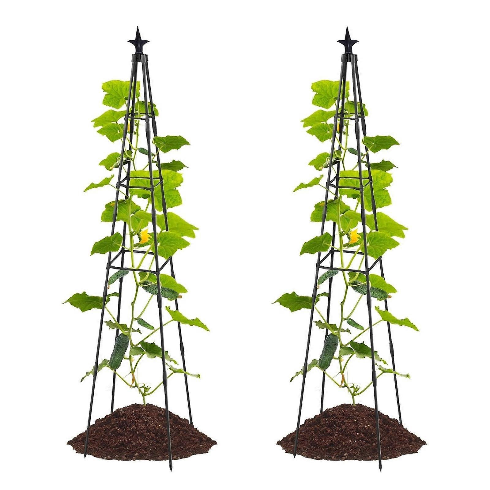 Enhanced Angled Spearhead Trellis Set for Plants - 2 pack 11x200cm