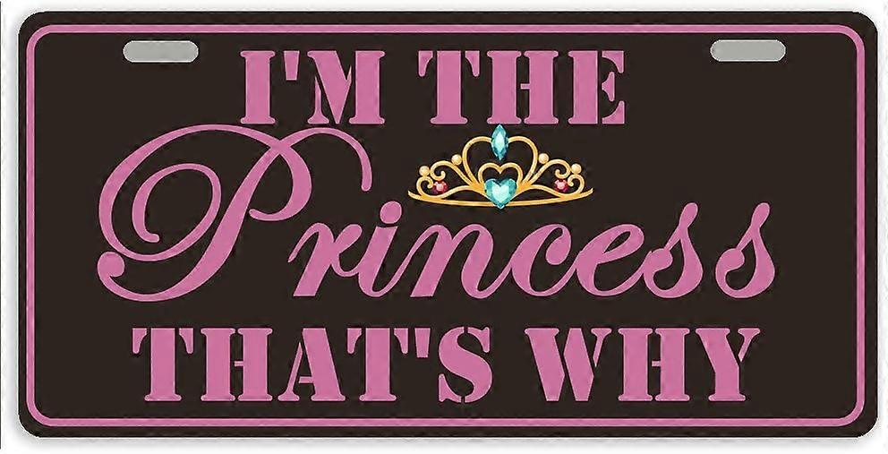 Ich bin die Prinzessin, deshalb Metall Auto Tag Auto Tag Nummernschild Abdeckung mit 2 Löchern 11,8 x 6,1 Zoll