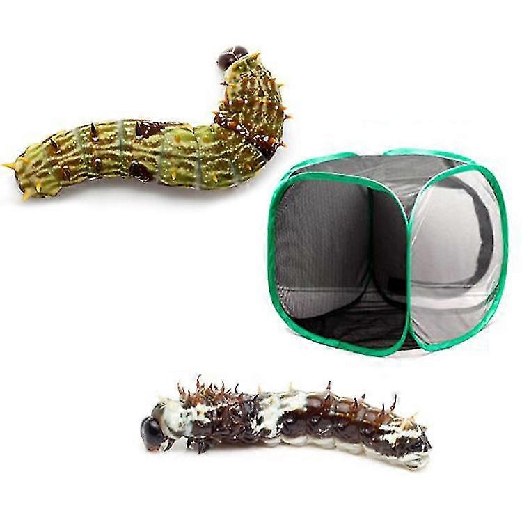 Collapsible Insect And Butterfly Habitat Net Butterfly Net(1pcs-green)