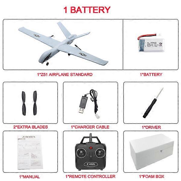 RC Plane 20 Minutes Flight Time Glider Toy Plane With LED 2.4G Remote Control Hand Throwing Wingspan Kids RC Jet Airplane Foam
