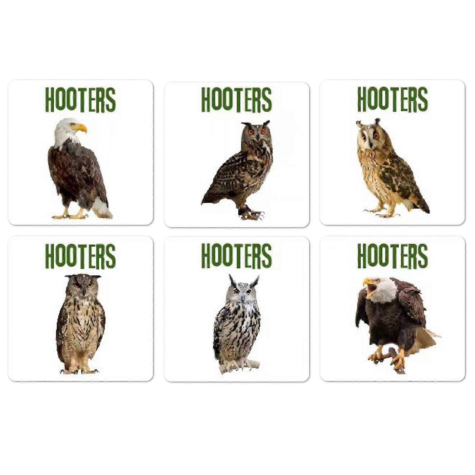 Bird Encyclopedia Owl Pattern Restaurant Pot Insulation Mat 6pc Waterproof