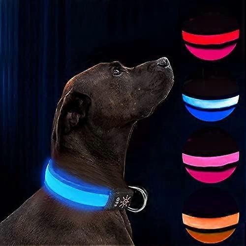 LED light-up dog collar