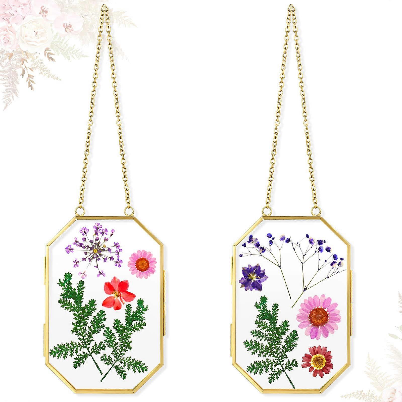 2 Pcs Glass Pressed Flower Frames Hanging Picture Clear Floating Octagon Geometric Double Frame