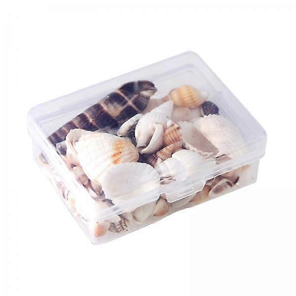 2x Natural Conch Shell Loose Bead for DIY