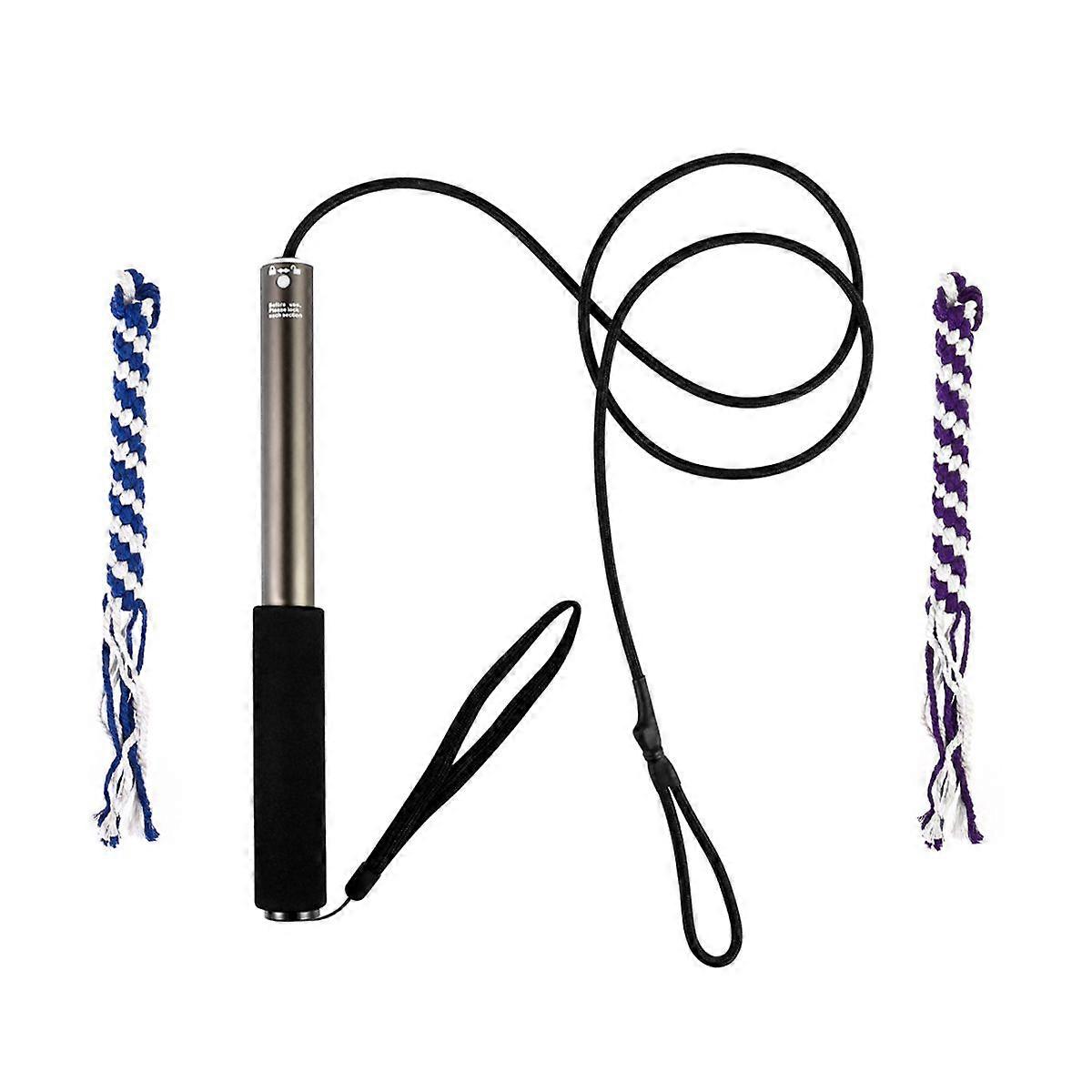 POPETPOP Interactive Dog Teaser Extendable Flirt Pole Funny Chasing Tail Teaser and Exerciser for Pets Size L (Metal)
