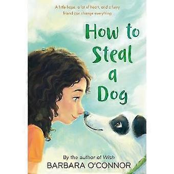 How to Steal a Dog