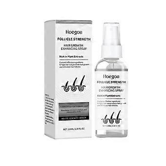 Hoegoa Haarpflegespray – Sanftes, feuchtigkeitsspendendes und pflegendes Haarspray für geschmeidiges und gesundes Haar