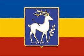 Polyester Hanging 90*135cm Russian Don Cossack Republic Flag