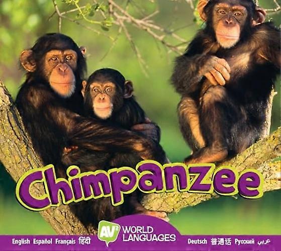Schimpanse (Weltsprachen)