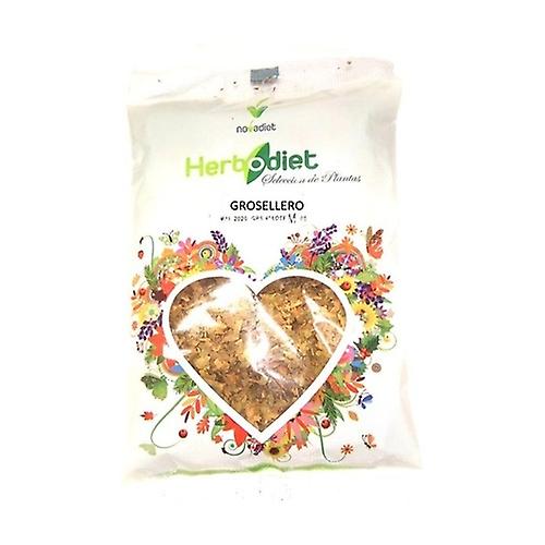 black currant 40g
