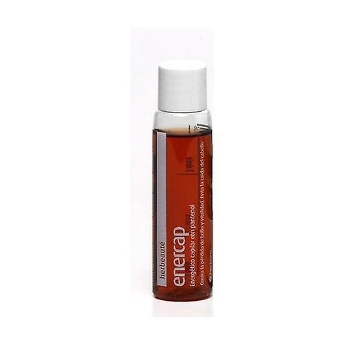 Enercap Capillary 1 Vial 1 vials
