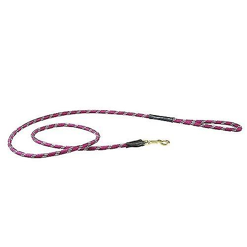 Weatherbeeta Rep Läder Hund Bly