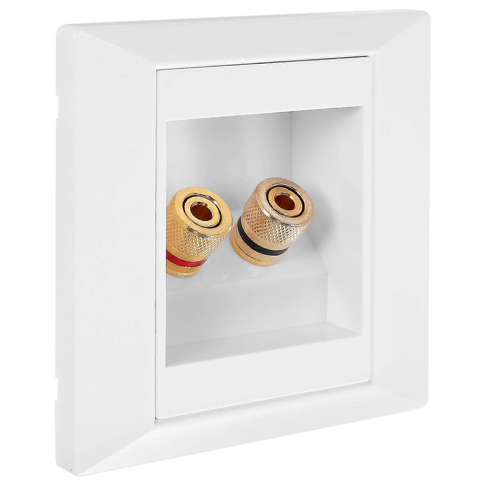 Wall Socket Connection Port with 2 Jack Speaker