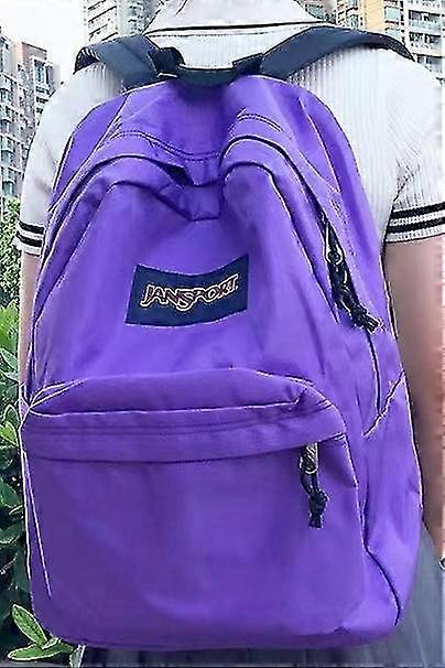 大きな学生、大きなバックパック、26インチのラップトップコンパートメントバックパック、紫