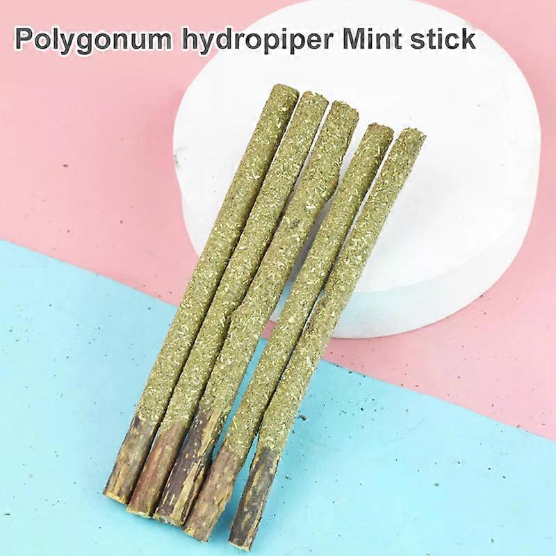 5 قطع الأليفة القط النعناع مضغ عصا علاج لعبة طبيعية Matatabi Polygama النعناع البري علاج الأسنان المولية تنظيف الأسنان العناية بمستلزمات القطط