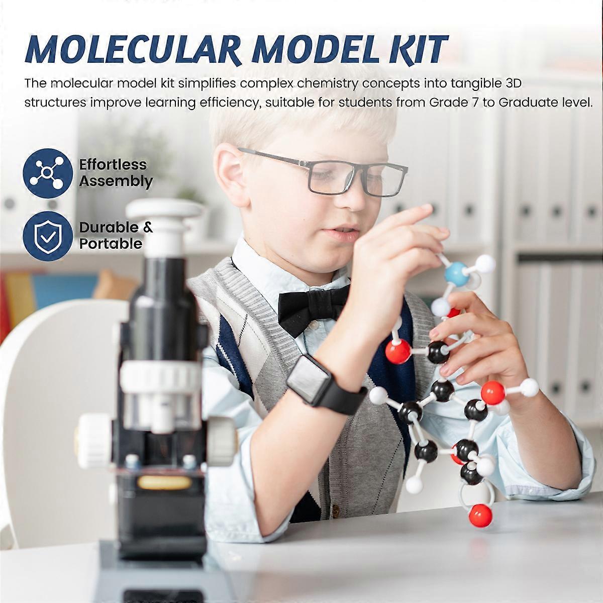 Molecular Model Kit, Organic Molecular Chemistry Set