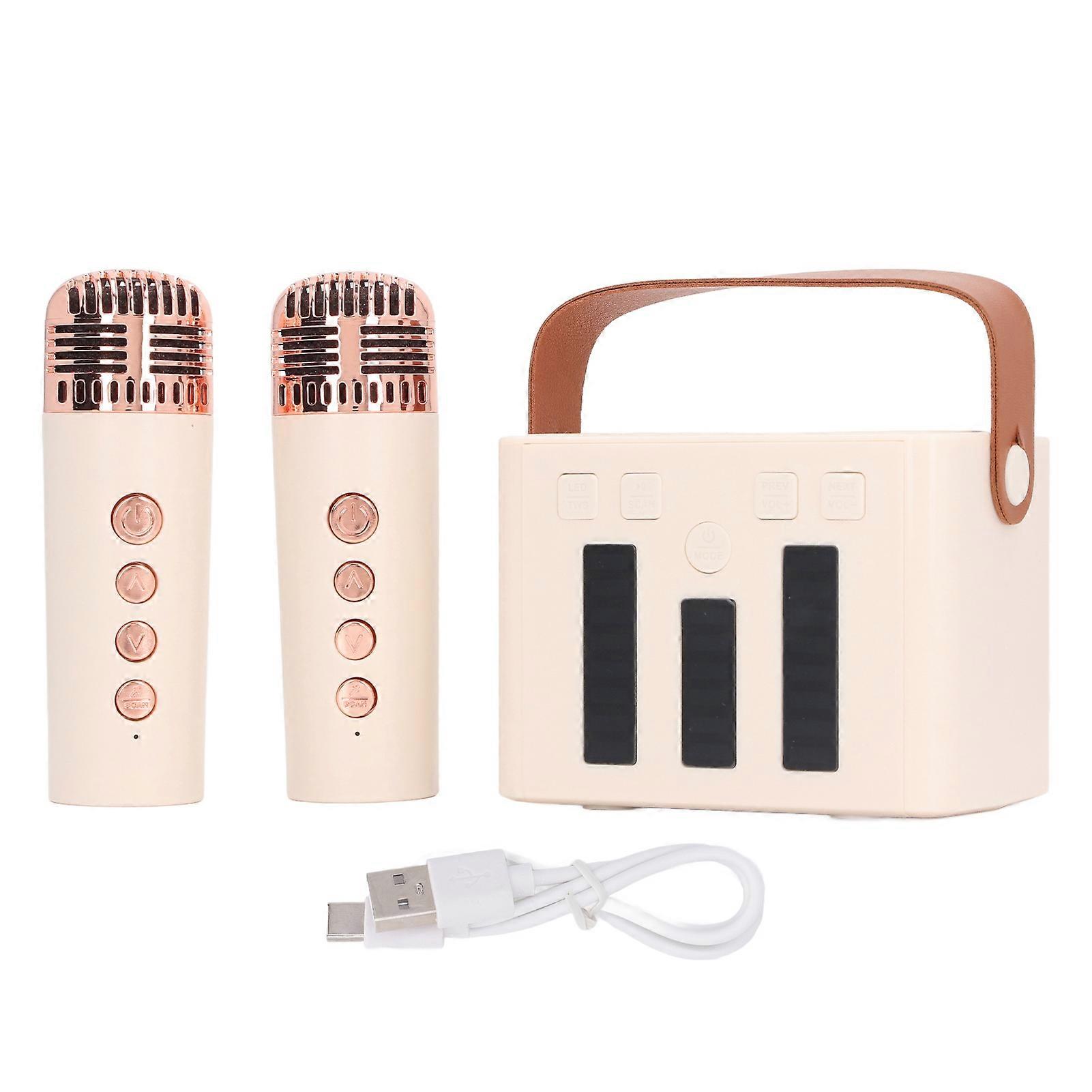 Portable Bluetooth Speaker with Dual Microphone Set Home Karaoke Machine Karaoke Mics Speaker System