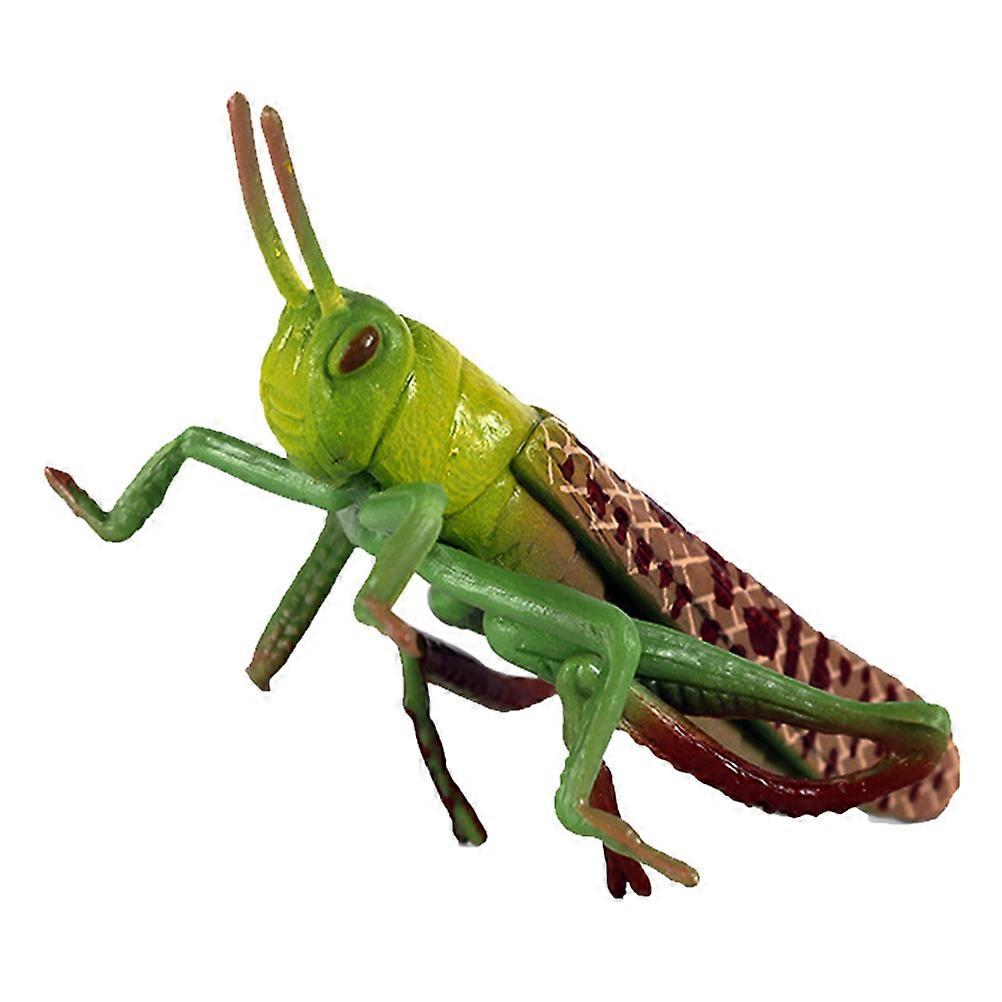 Green Simulation Decorative Model for Kids Education and Home Decor plastic