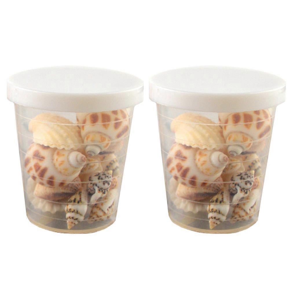 Sea Shells For Crafting Diy Seashells For Art Gallery Conch Natural Shell Shape 2 Boxes