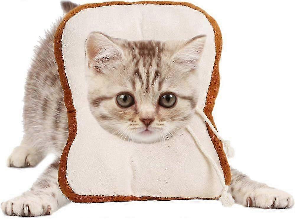 Protective collar for cats. Cat recovery collar. Adjustable soft anti-bite cat