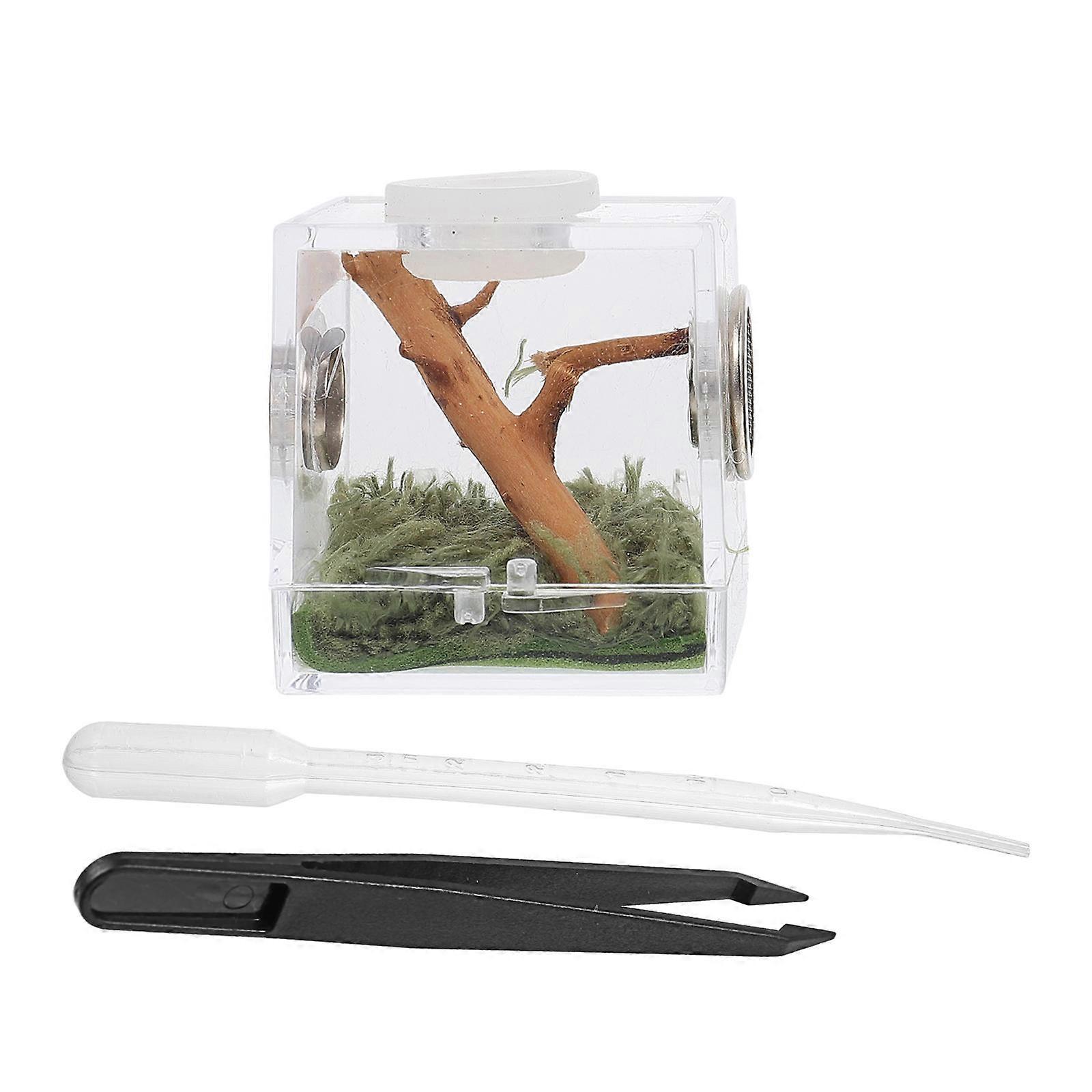 Reptile Acrylic Feeding Case 5 Sets Square Hatching Container Suitable For Spiders And Insects With Moisture Resistance 1.6X6.9X1.4In