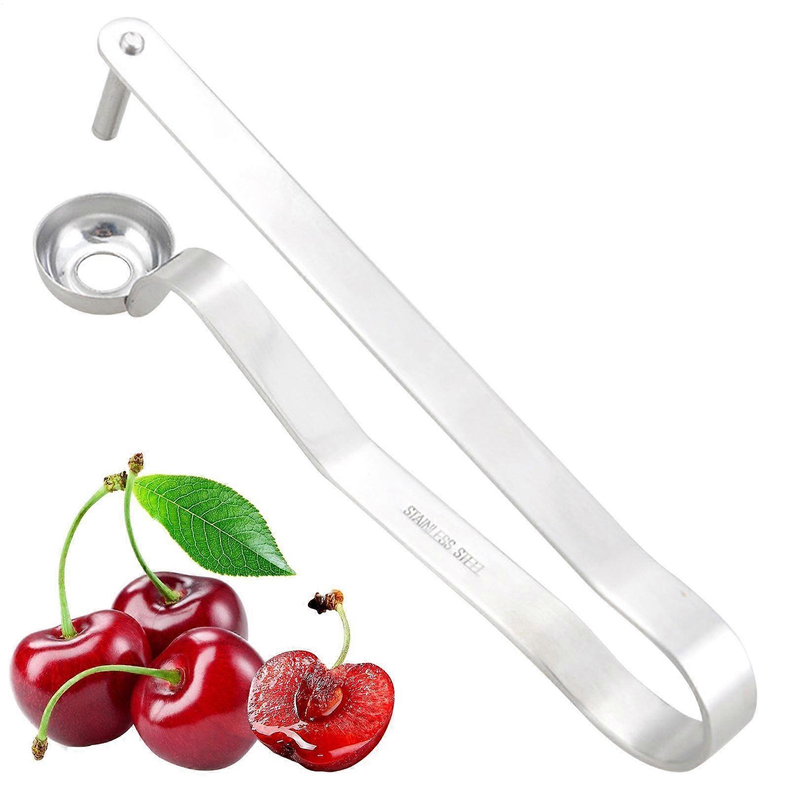 Fruit Pitter Tool, Olive Pitter Tool, Reusable Cherry Pitter, MultiFruit Pitting Tool For Cherries, Blueberries, Jujubes