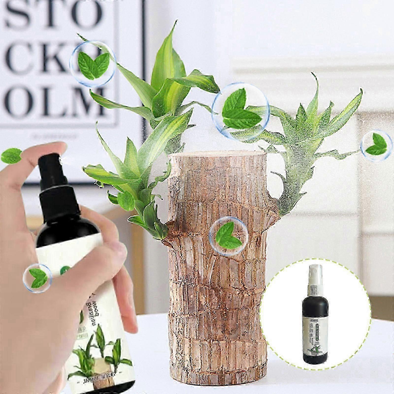 100 مل محلول مغذي خاص للخشب البرازيلي يعزز الإنبات ويمنع محلول مغذيات الأوراق الصفراء