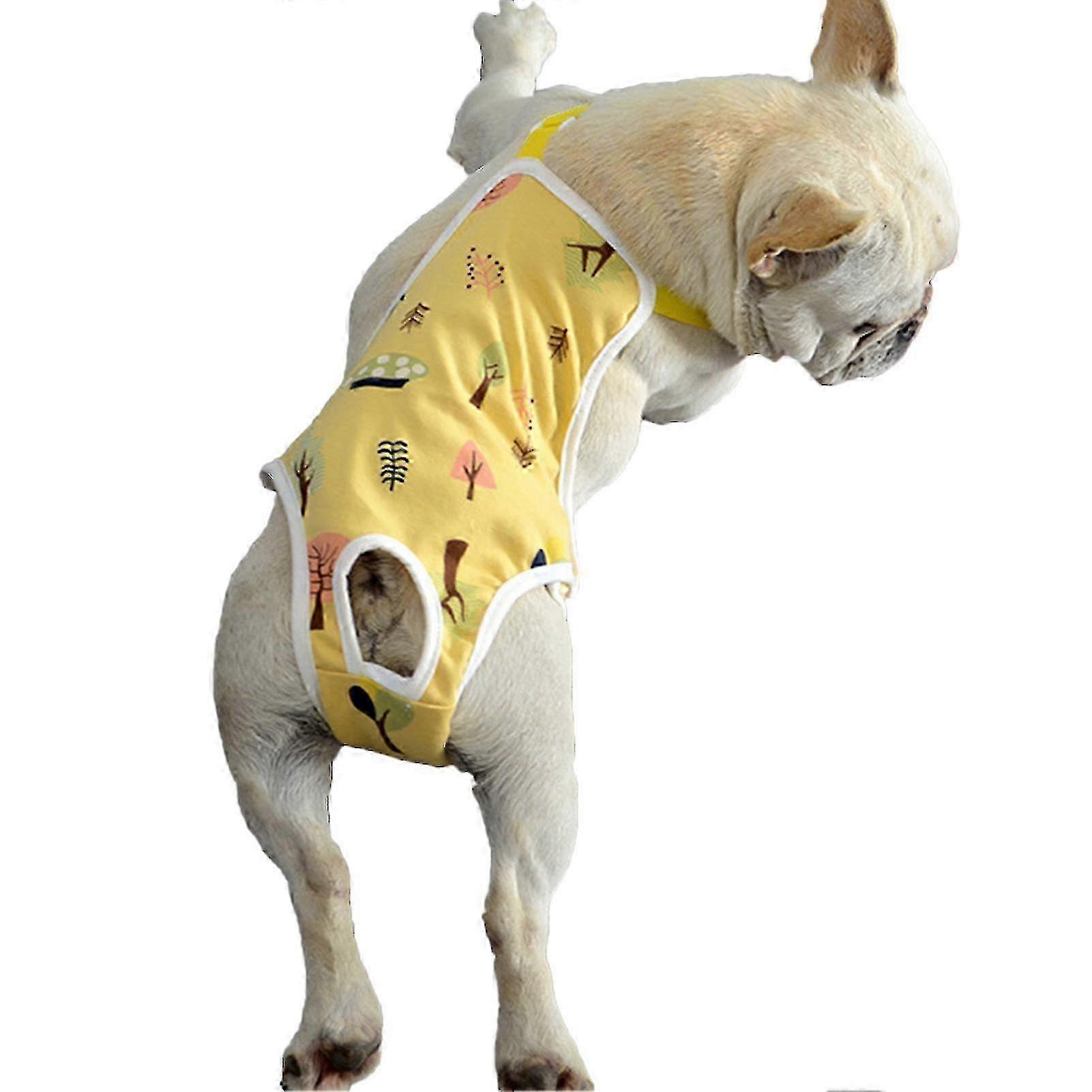 Reusable dog pants for indoor use during menstruation